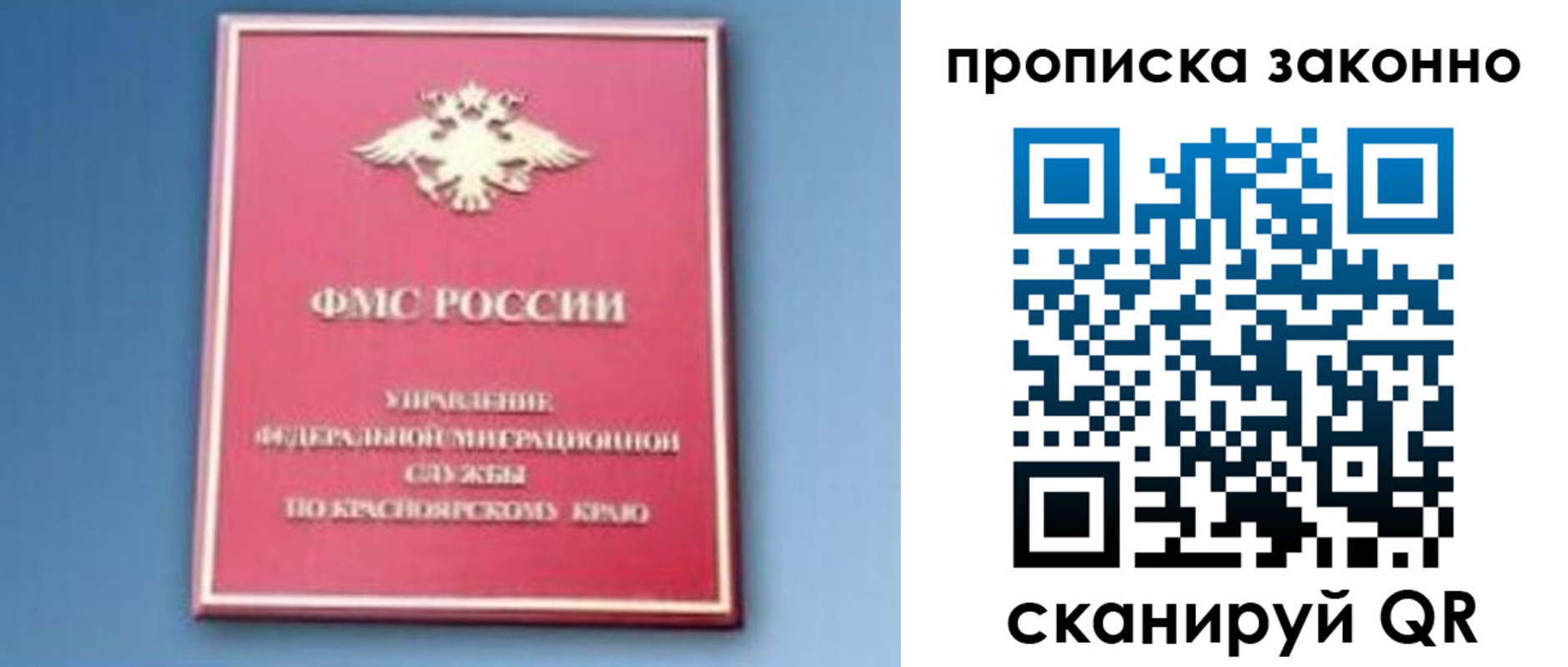 прописка законно в Звенигово